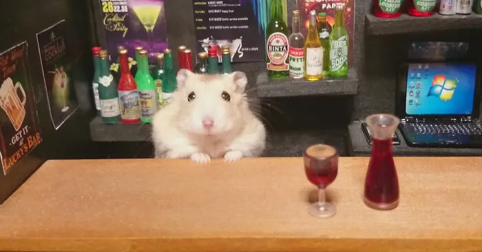 Little Hamster Bartenders Serving Tiny Food and Drinks