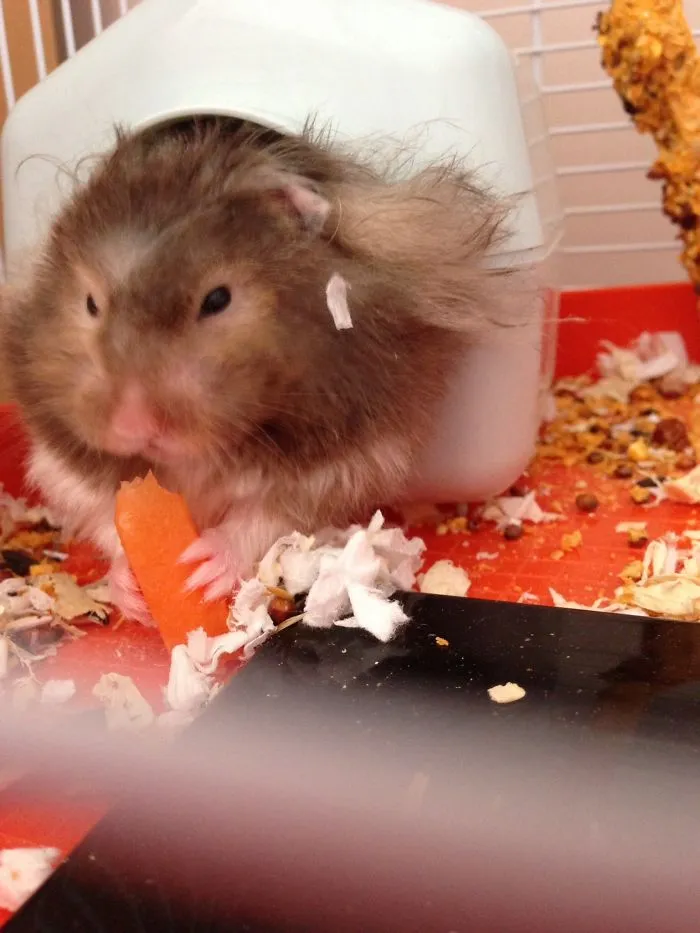 Morning Snack!