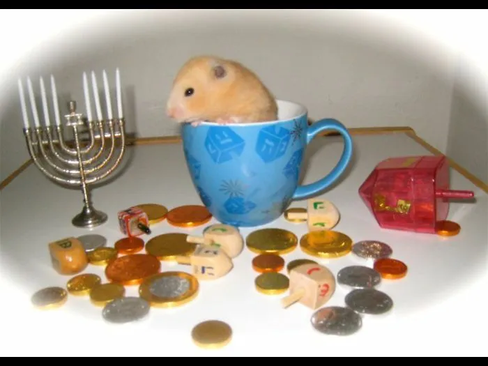70 Cups Full Of Cuteness