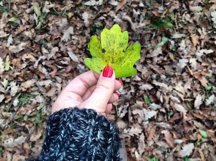 Second Spring