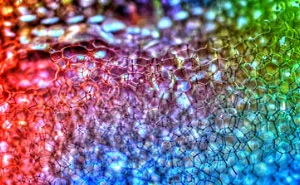 Fun With Macro Photography