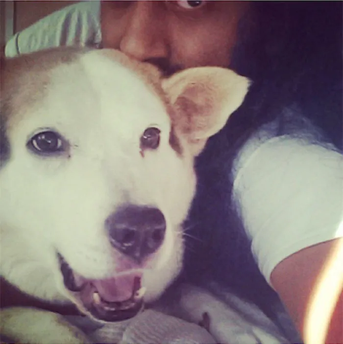 The Sneaky Dog Selfie