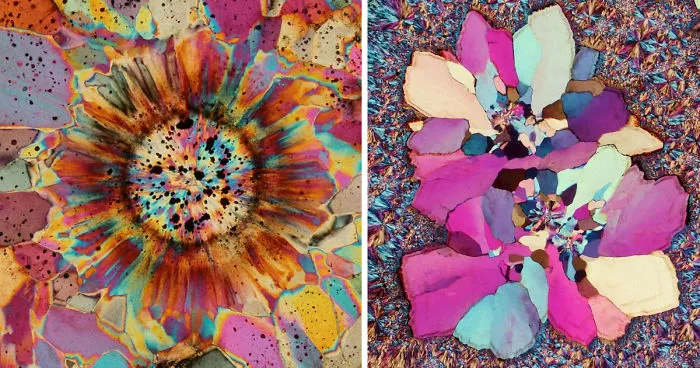 Inside A Rock! Stunning Images Of Ocean Jasper Macro To Micro