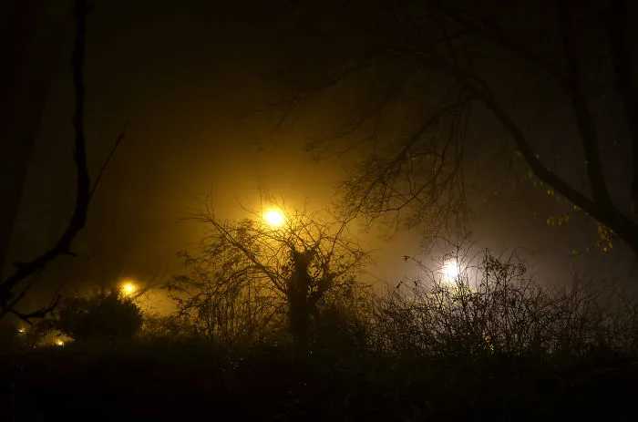 Orbits In The Mist