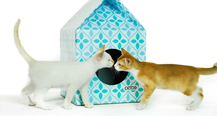 Cute Playhouses For Cats