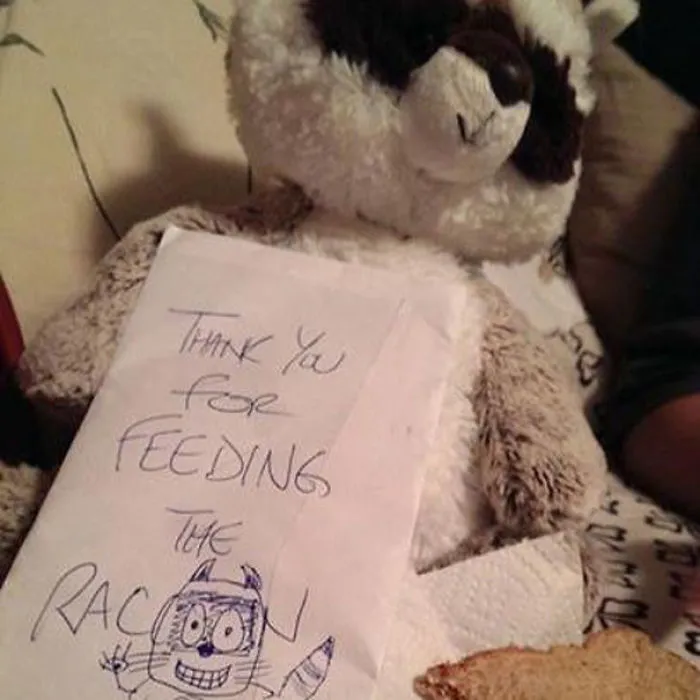 She Loves Me And The Raccoon...