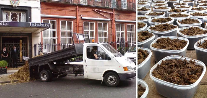 You Can Now Anonymously Send Poop To Your Enemies