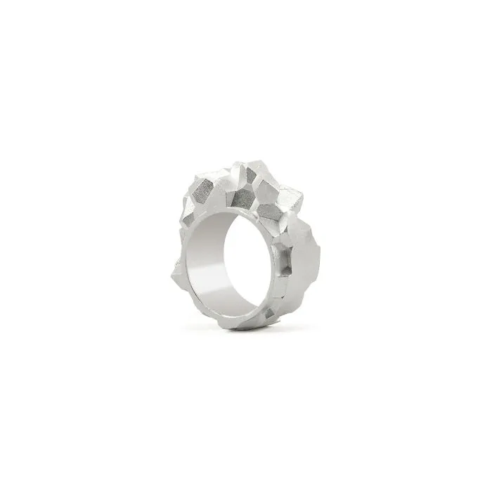 Ore Silver Ring By Sheinfeld Rodriguez (hawaii) X Stilnest (berlin)