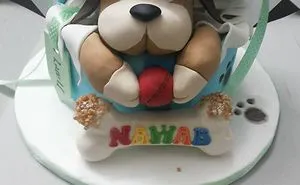 Nawab's 1st B'day