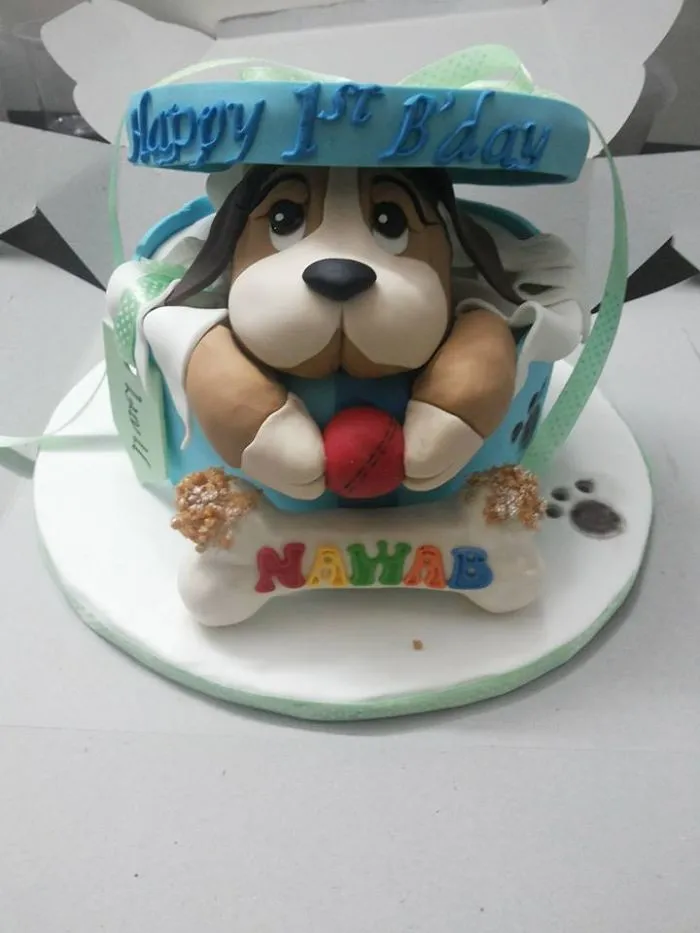 Nawab's 1st B'day