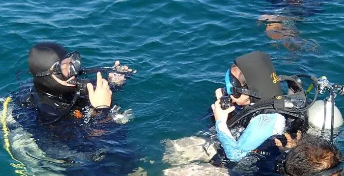 Scuba Diving Buddies