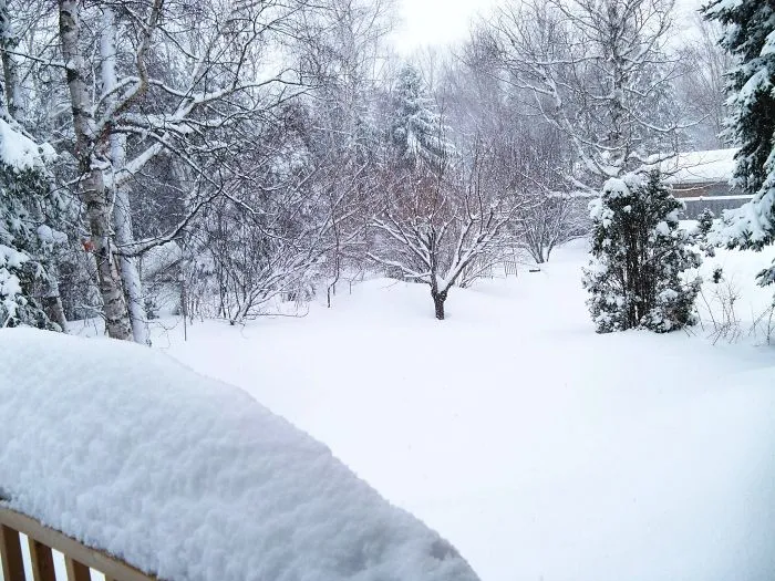 Bathurst, New Brunswick, Canada - Winter 2013