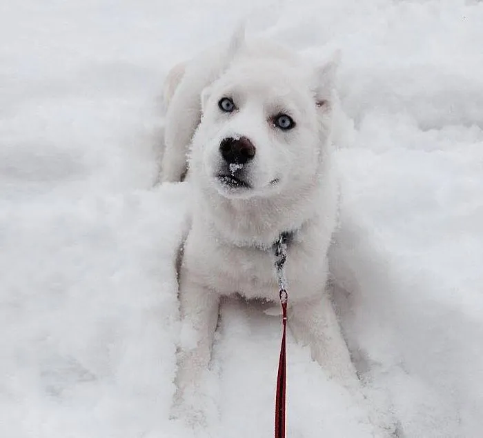 Kiora's First Snow Day