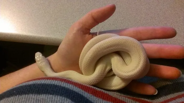 I'm Going To Nap Right Here.  Don't Mind Me...