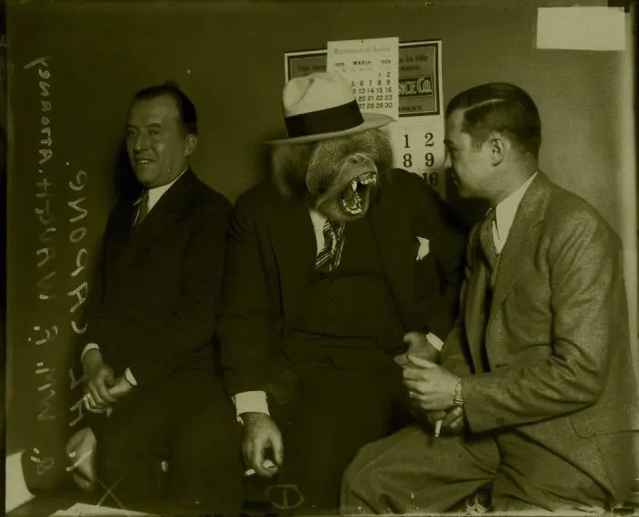Ape Capone
