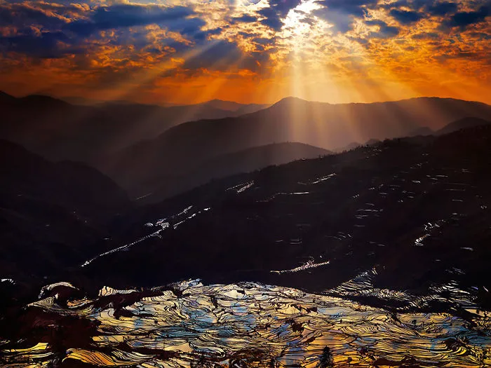 47 Hypnotizing Rice Fields That Look Like Broken Glass