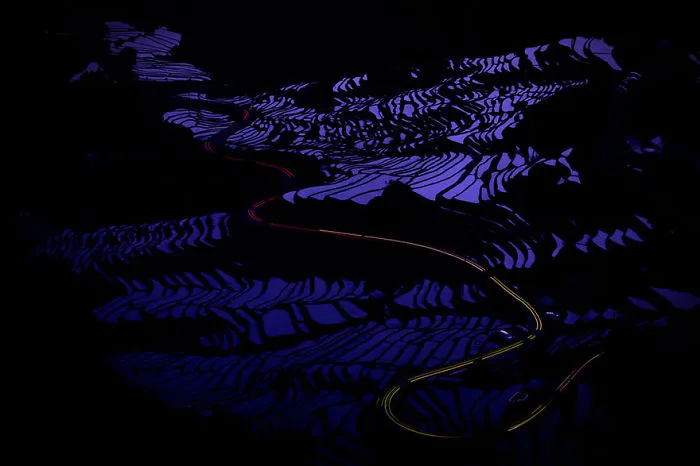 47 Hypnotizing Rice Fields That Look Like Broken Glass
