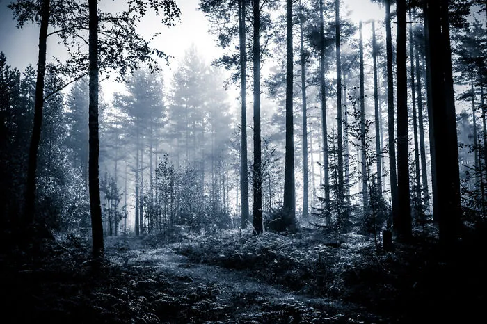 Gloomy Atmosphere Series