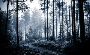 Gloomy Atmosphere Series