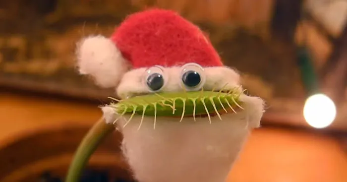 Venus Flytrap Dresses Up As Santa To Wish You A Merry Christmas