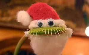 Venus Flytrap Dresses Up As Santa To Wish You A Merry Christmas