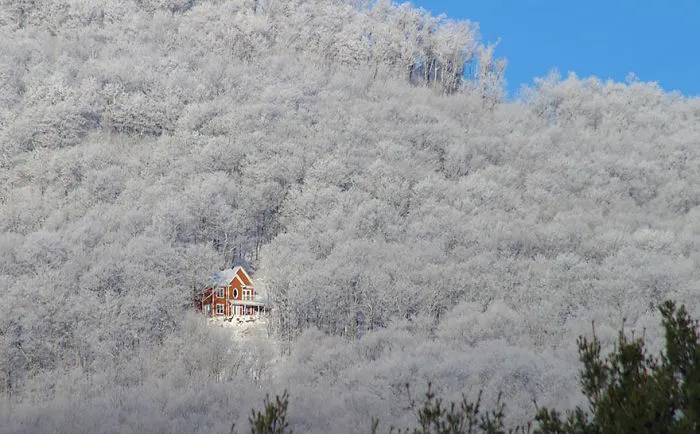 House In The Forest