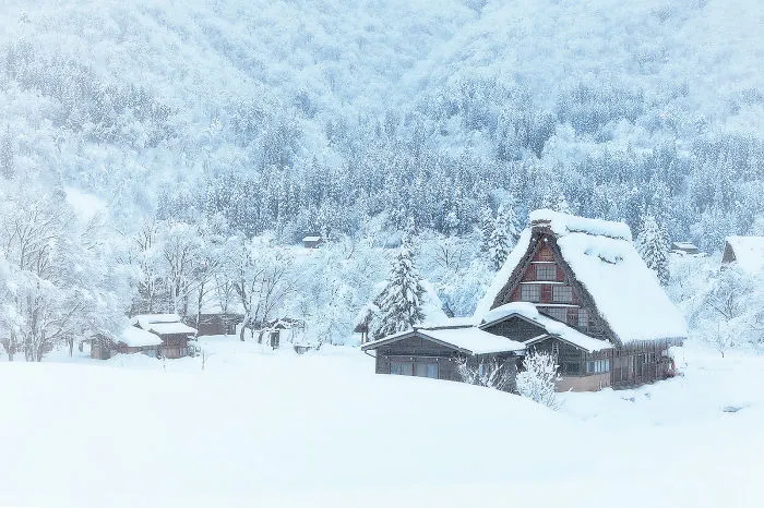 A Cabin In The Woods