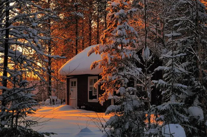 A Little House In Snowy Forest
