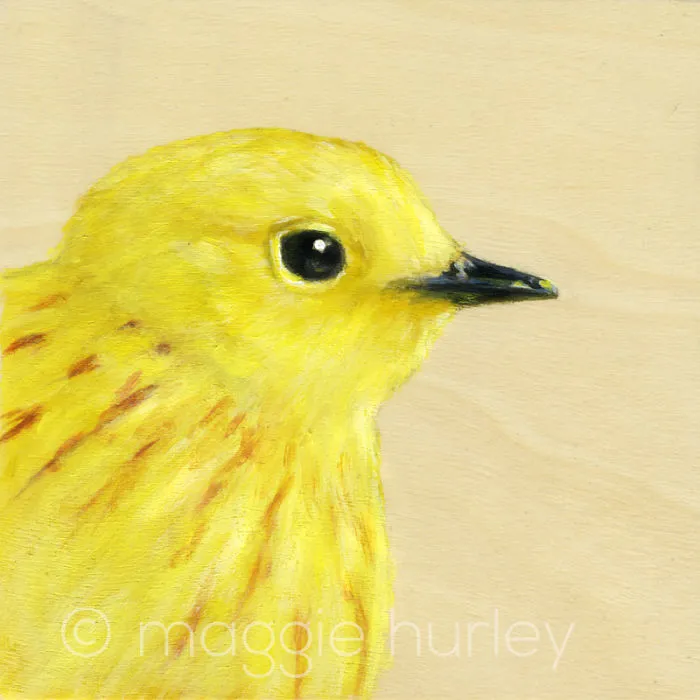 Little Bird Prints On Wood By Maggie Hurley (maggiehurley.com)