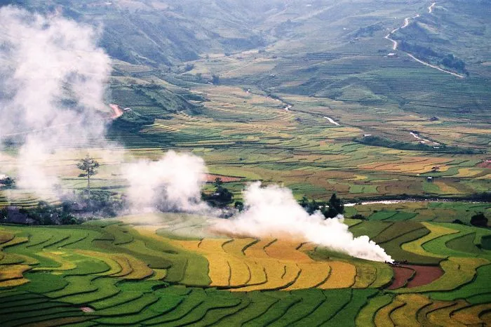 47 Hypnotizing Rice Fields That Look Like Broken Glass