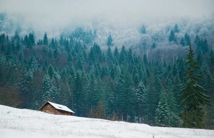 Solitude