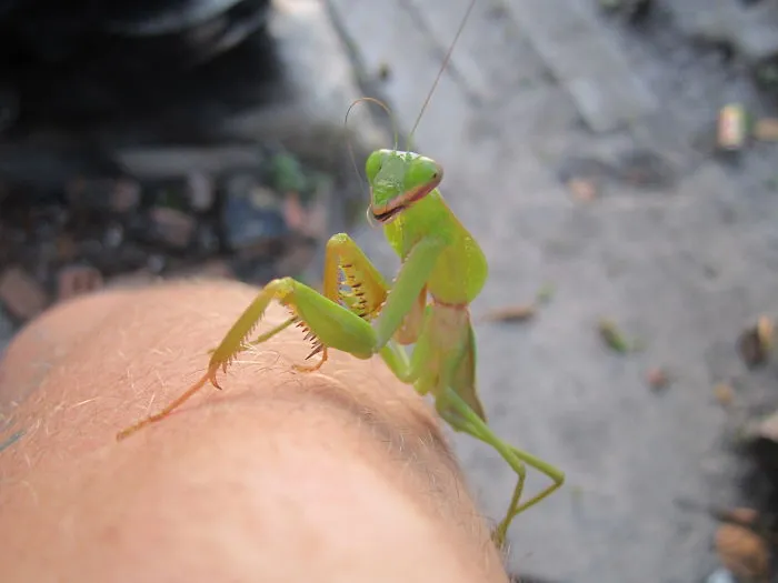 What Are You Looking At?