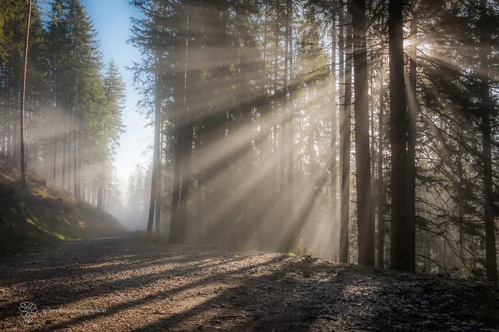 Enter Light....