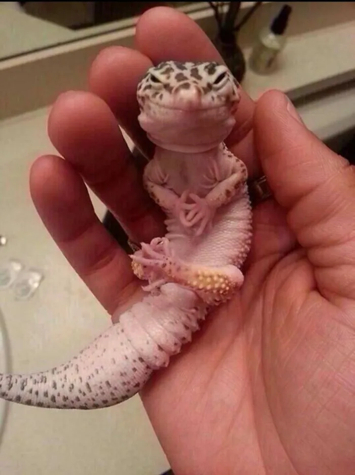 Everything Goes As Planned... I'm Ready For World Domination ^_^