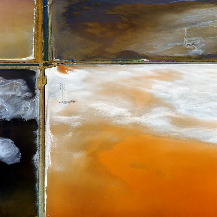 47 Hypnotizing Rice Fields That Look Like Broken Glass