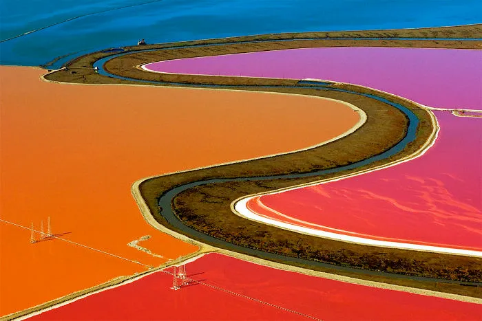 47 Hypnotizing Rice Fields That Look Like Broken Glass