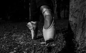 The Ballet Project