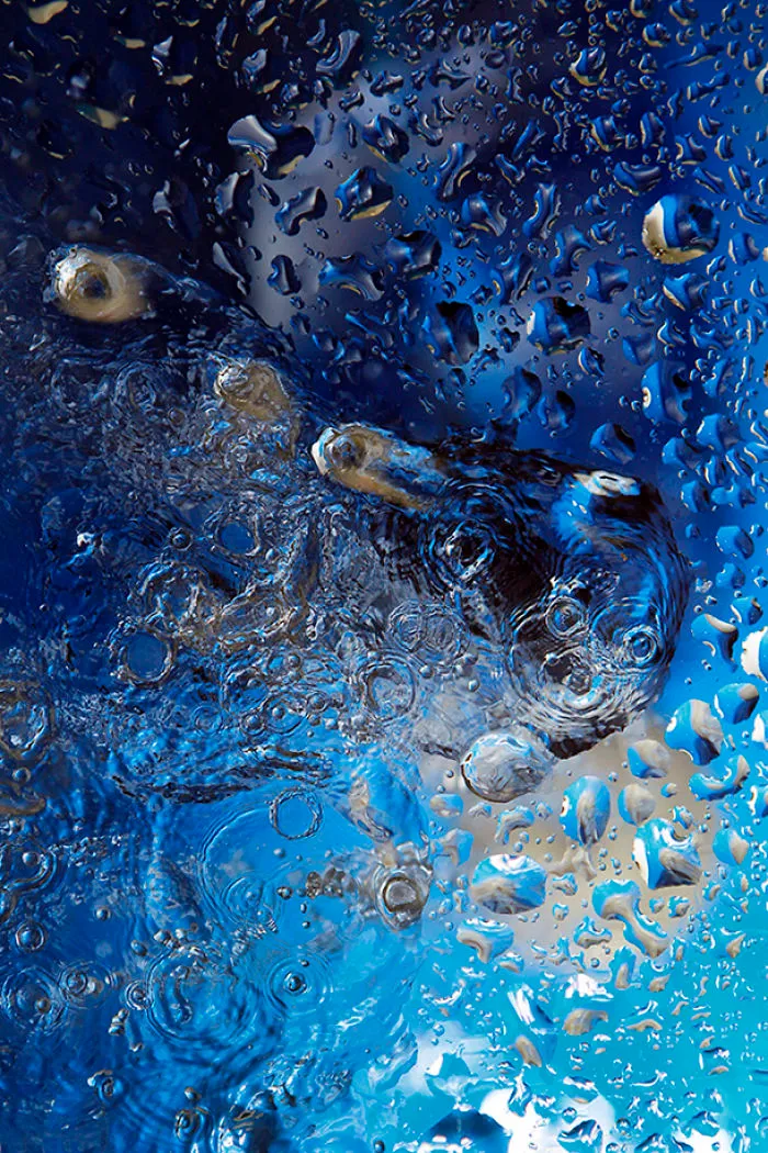 #water #photography #goddyn