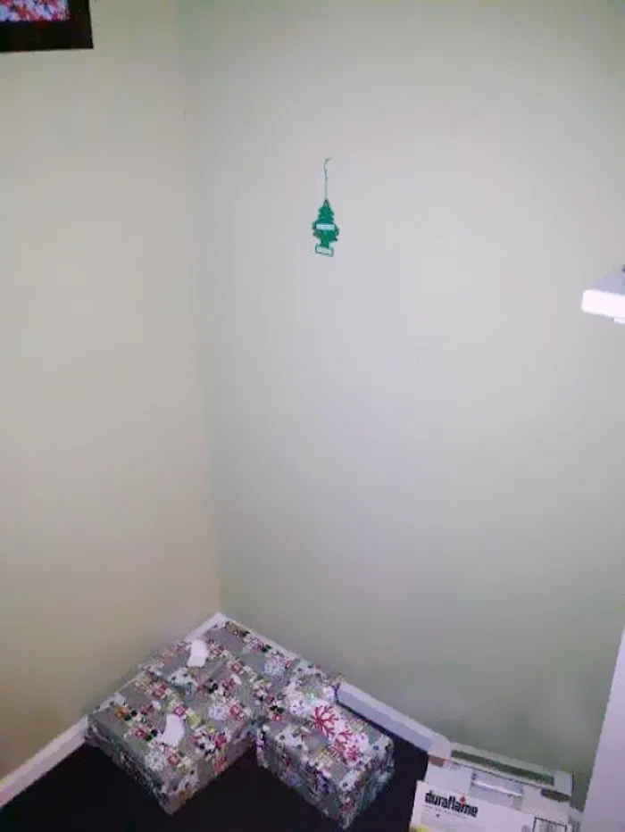 The "I'm Broke Or I'm Lazy" Christmas Tree