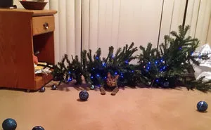 50 Dogs And Cats That Destroyed Christmas