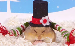 Cute Hamsters: 12 Days Of Christmas (Pics And Videos)