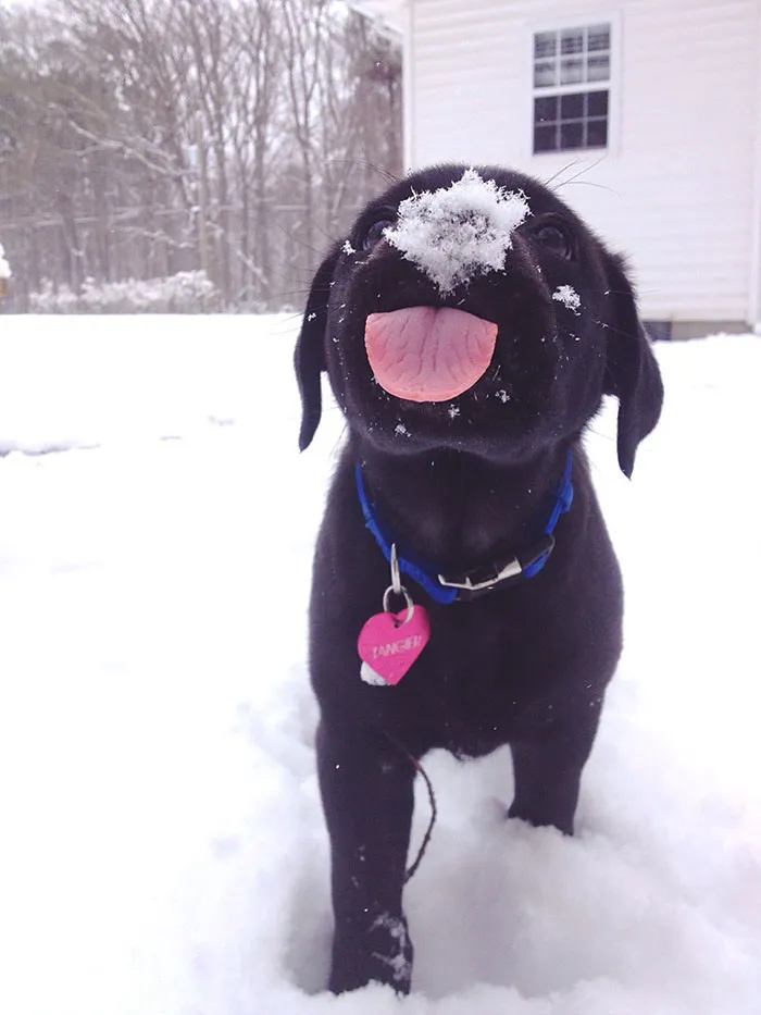 First Snow For This Sweet Little Girl