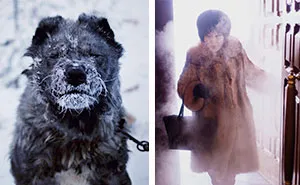 Photographer Travels From Yakutsk To Oymyakon, The Coldest Village On Earth