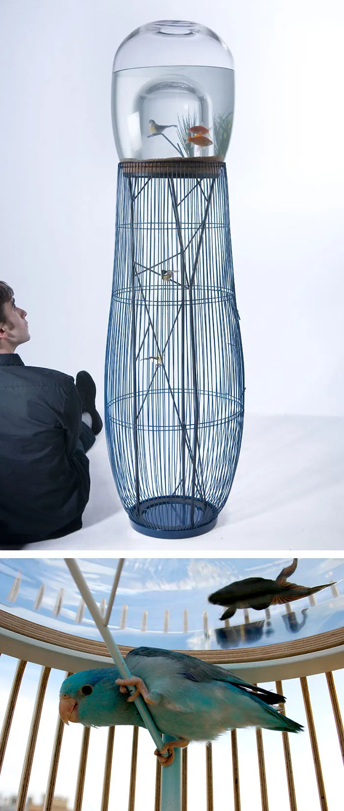 Duplex Aquarium / Bird Cage