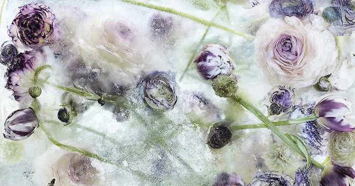 Flowers Frozen In Ice Look Like Beautiful Watercolor Paintings