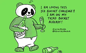 Insights From A Panda