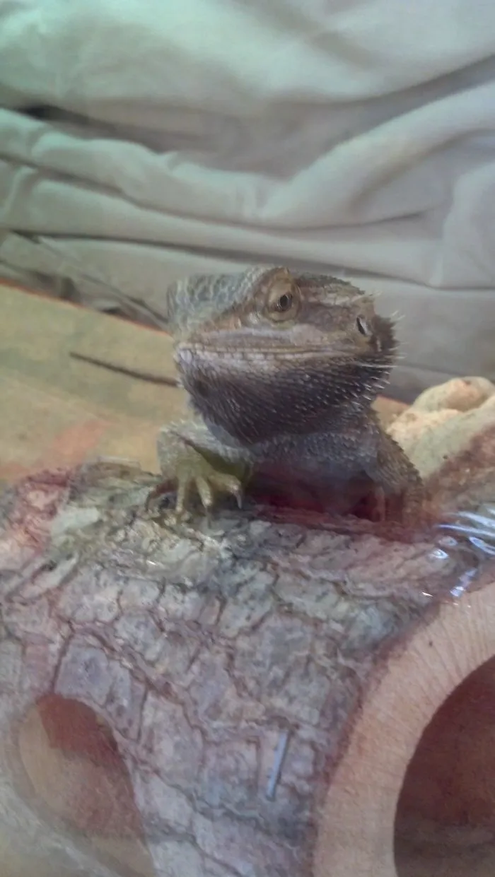 Well Hello There, My Name Is Mr. Right; I Heard You Were Looking For Me?