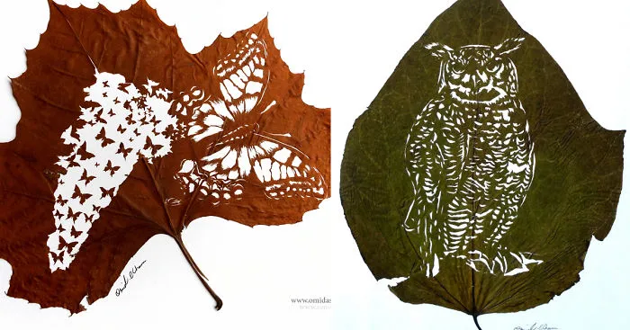 More Of My Delicate Leaf Cuttings