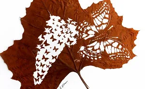 More Of My Delicate Leaf Cuttings