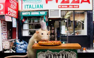 The Adorable Adventures Of Marty Mouse